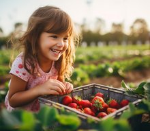 De la graine à notre assiette : de retour avec le programme d'été !